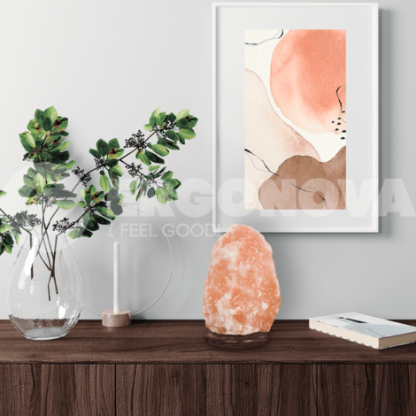 Соляная лампа Ergonova Himalay Crystal medium 7-10kg (Скала 7-10 кг)